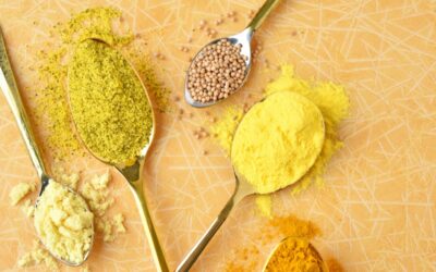 My Food Balance : Transformer sa relation à l’alimentation